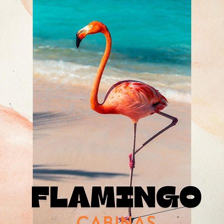 Cabinas Flamingo Playa Flamingo Eksteriør billede